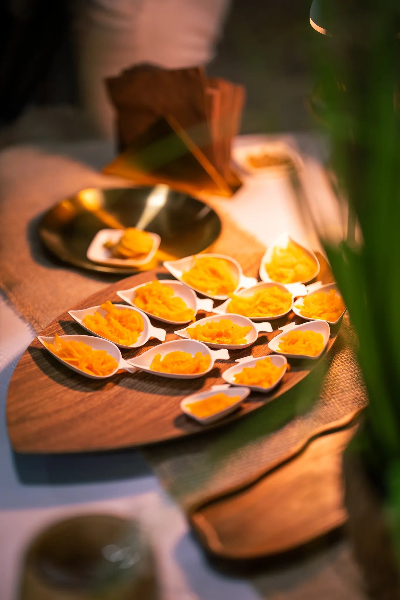 Portrait de démonstration de Sarah Élie